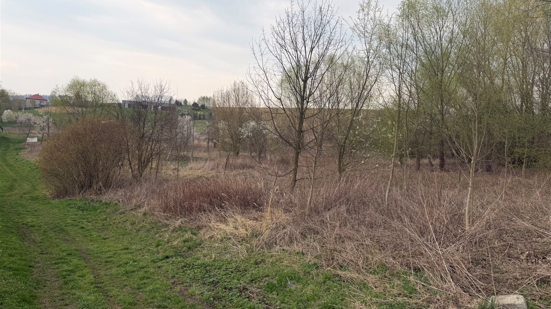 Działka na sprzedaż